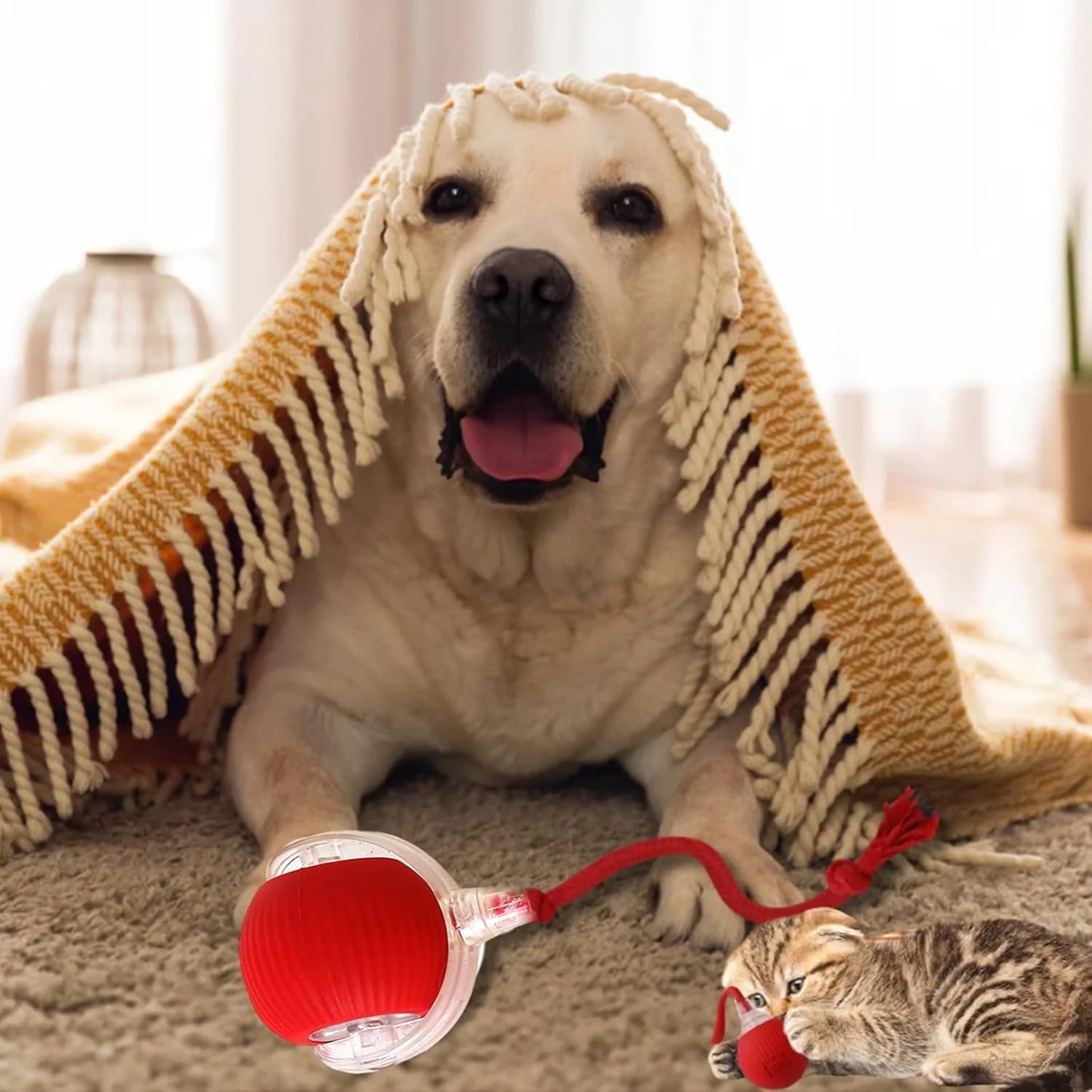 Chewie Ball, Chewie Viral Rolling Ball, Interactive Cat Ball Toy, Chewie Ball for Dogs, Chewie Smart Automatic Rolling Pet Ball, Automatic 360° Rotating Rolling Ball with USB Charging